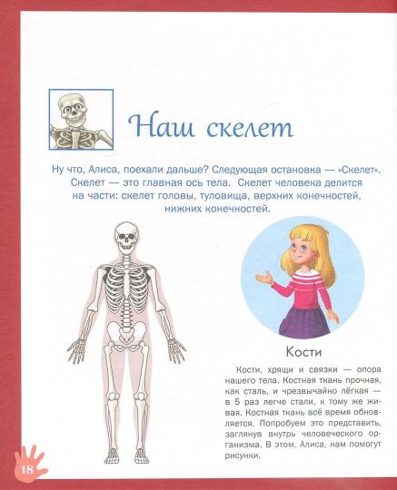 Путешествие Алисы в страну Анатомию