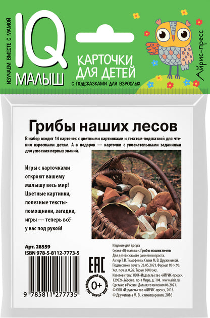 Умный малыш. Грибы наших лесов. Набор карточек для детей.