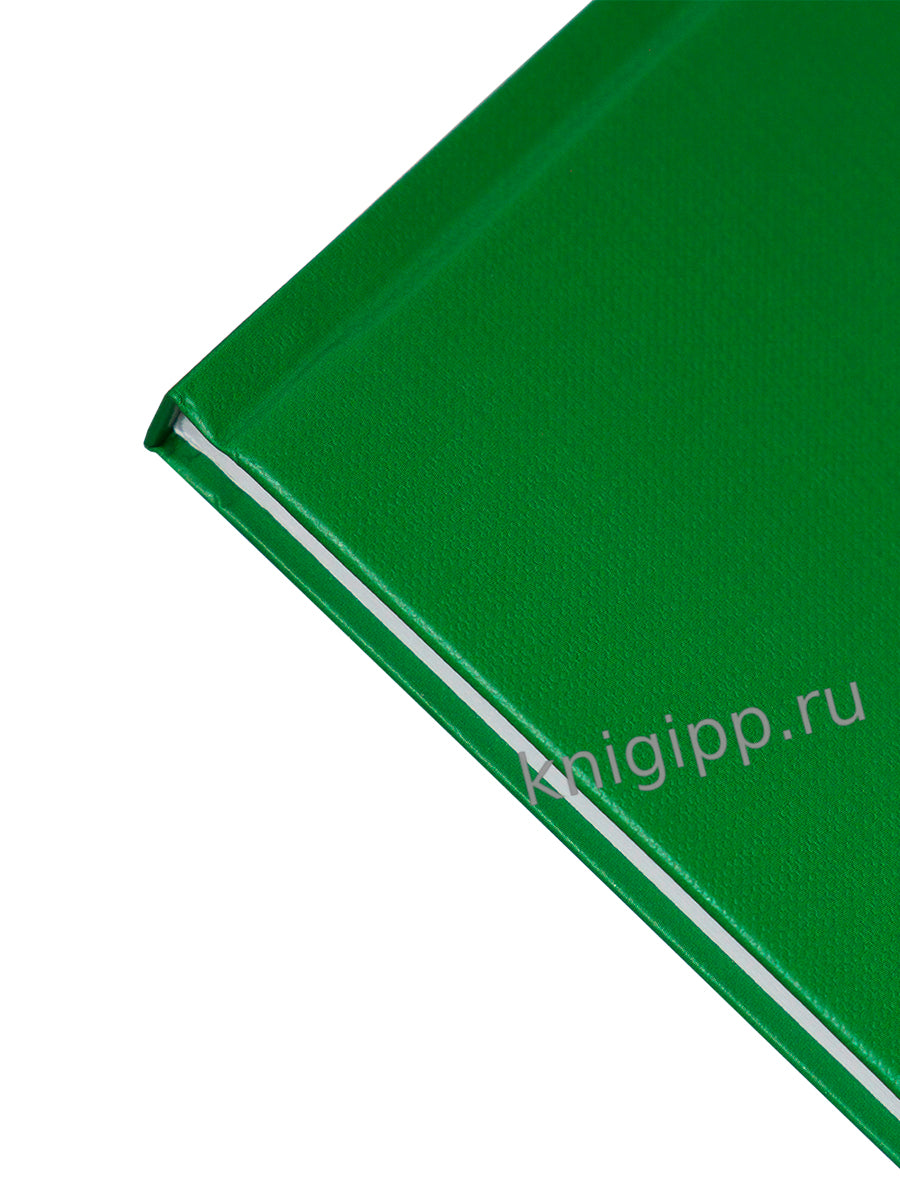 MyArt. БЛОКНОТ в линию Classic. Зелёный