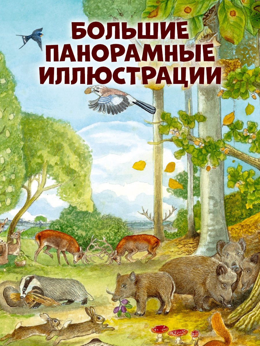 Найди и покажи. Найди и покажи. 1000 животных