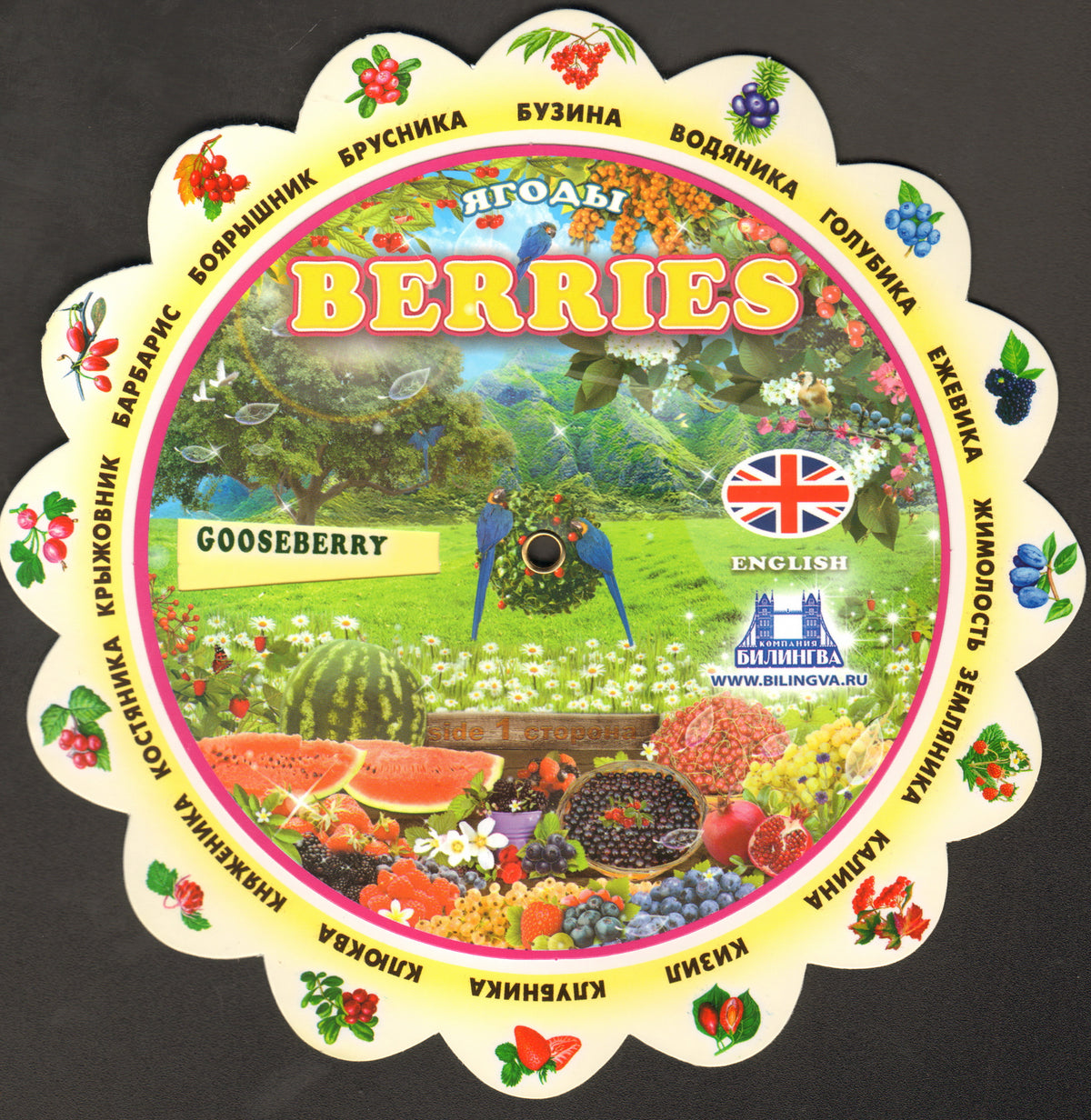 Berries (Ягоды).Иллюстрированный тематический словарь