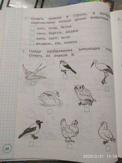 Окружающий мир. 1 класс. Контрольные измерительные материалы. Всероссийская проверочная работа