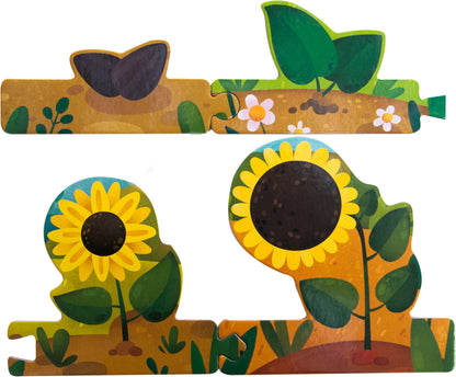 Собери цепочку. Как растет подсолнух