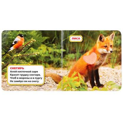 Лесные животные Степанов В.А. (карт. книга 3 разв. с 4 тактил. эл-тами) 120х120мм Умка в кор.144шт