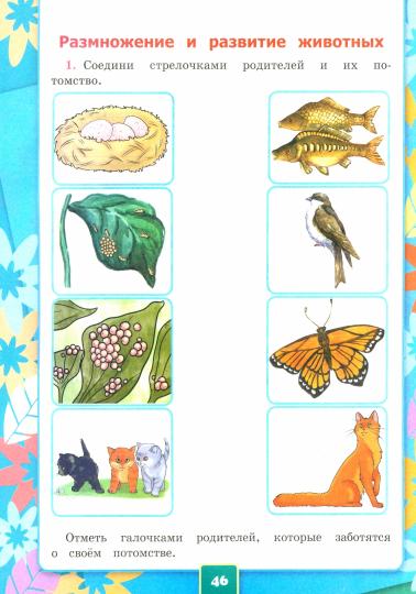 УМКн. Р/Т ПО ПРЕДМ."ОКР.МИР" 3 КЛ. ПЛЕШАКОВ № 1. ФГОС НОВЫЙ (к новому учебнику)