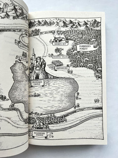 Harry Potter and the Half-Blood Prince J.K. Rowling Гарри Поттер и Принц-полукровка Д.К. Роулинг / Книги на английском языке