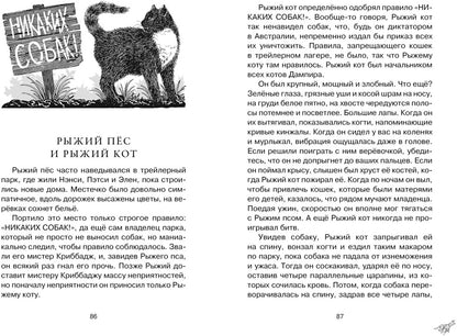 Рыжий пёс