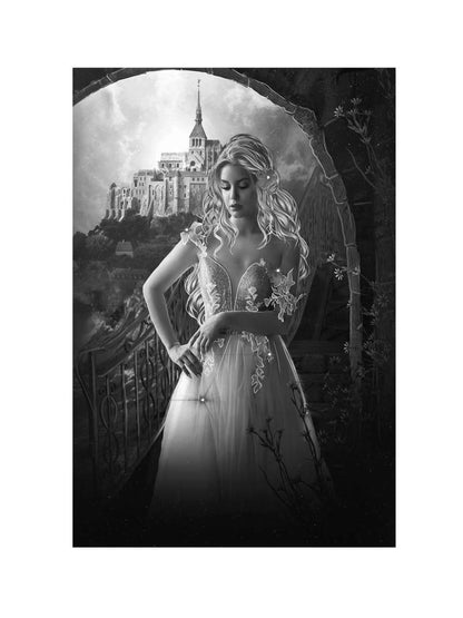 Дневники фаворитки. Чужая жена. книга 1