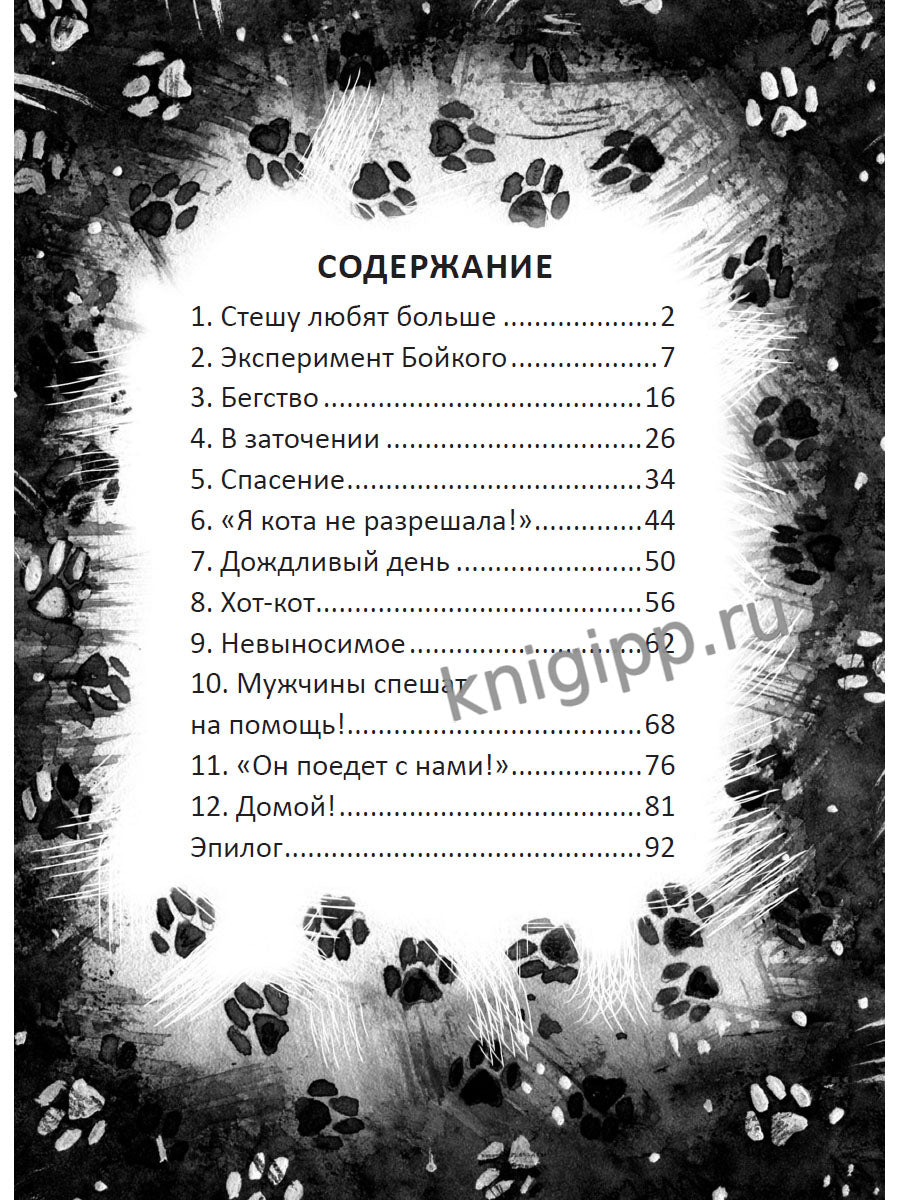 Я ТЕБЯ НЕ БРОШУ. Кот, который нам нужен (КБС)