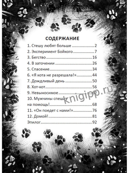 Я ТЕБЯ НЕ БРОШУ. Кот, который нам нужен (КБС)