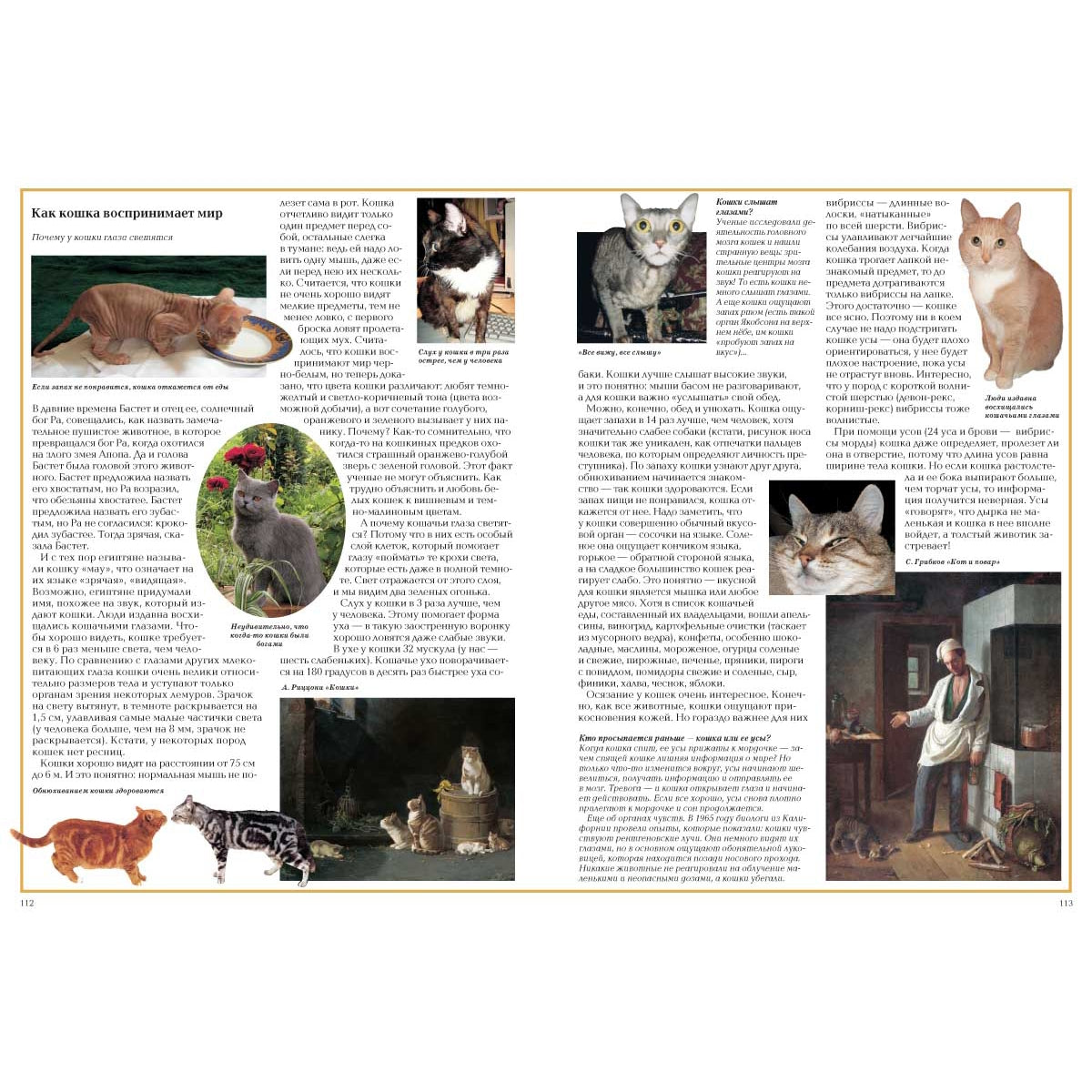 Загадки животного мира