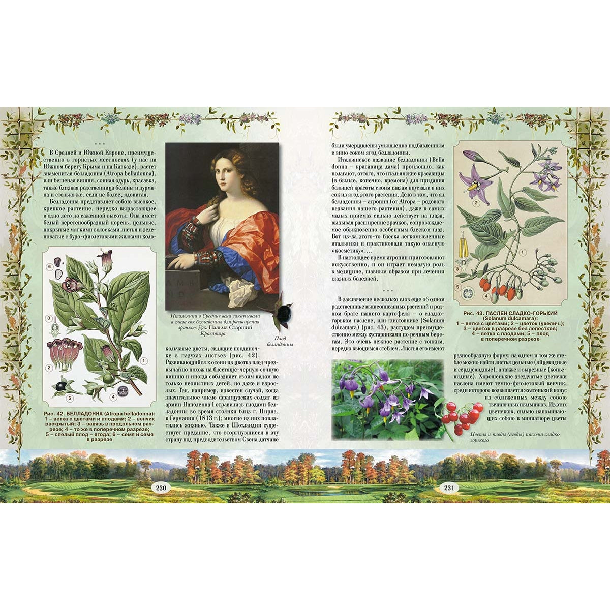 Из Зеленого Царства. Популярные очерки из мира растений