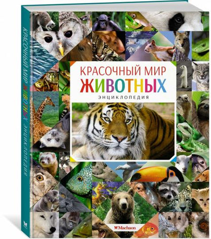 Красочный мир животных