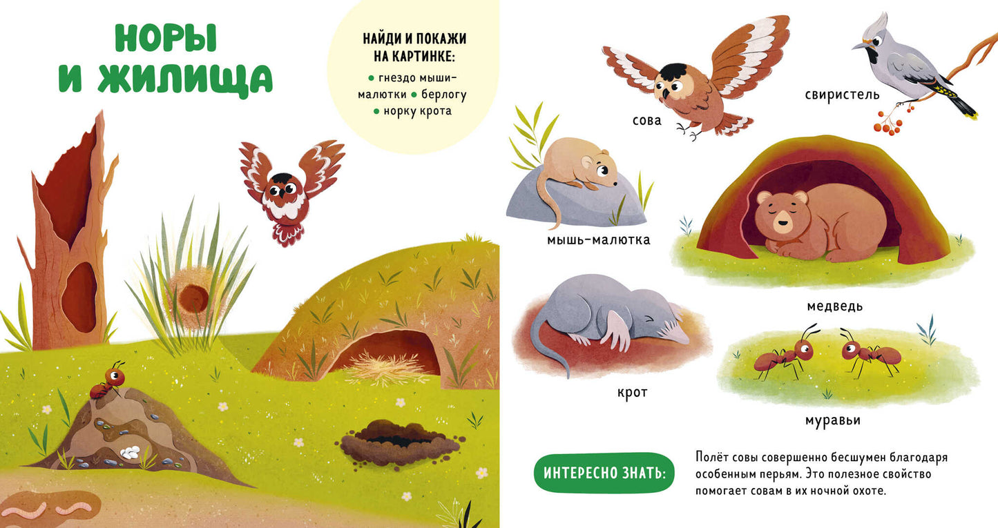 Главная книга малыша. Прогулки по лесу