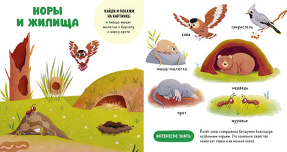 Главная книга малыша. Прогулки по лесу