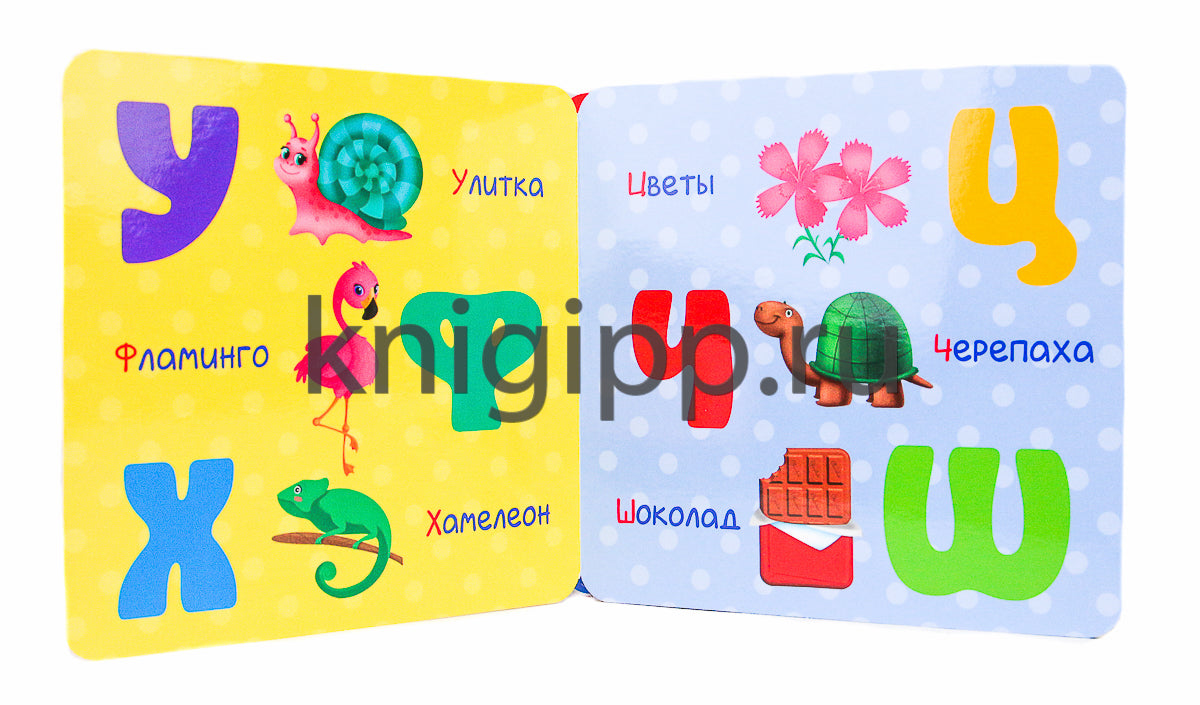 КНИЖКА-ГАРМОШКА. ВЕСЁЛАЯ АЗБУКА