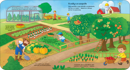В деревне. Энциклопедия с окошками