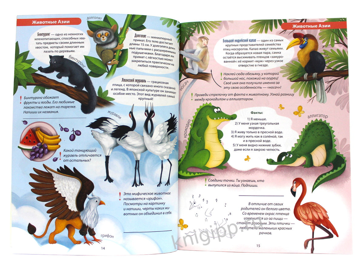 АКТИВИТИ-АТЛАС с наклейками. Животные