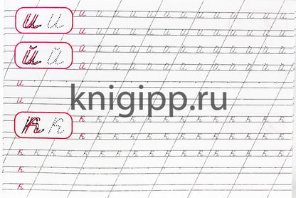 КАЛЛИГРАФИЧЕСКАЯ ПРОПИСЬ А5. альбомная. ПИШЕМ СТРОЧНЫЕ БУКВЫ