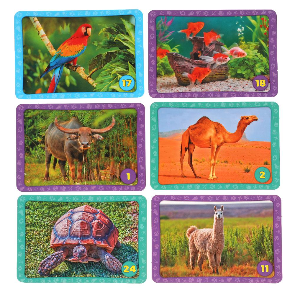 Домашние животные. Карточная игра мемо. (50 карточек). Тренируемся память. Умные игры в кор.50шт