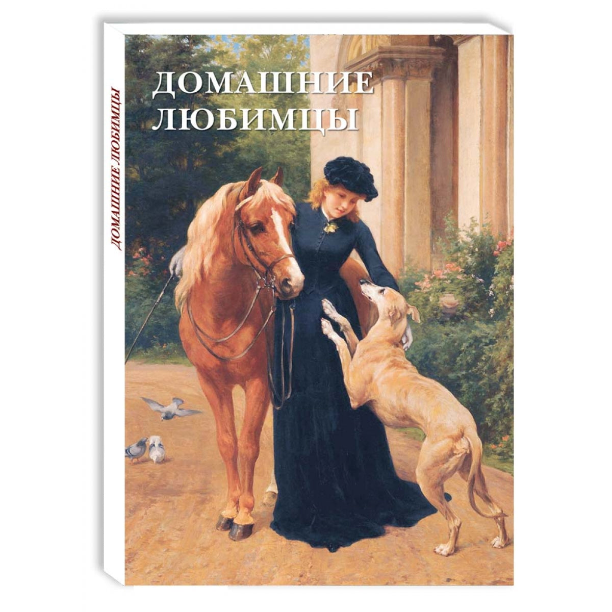 Домашние любимцы
