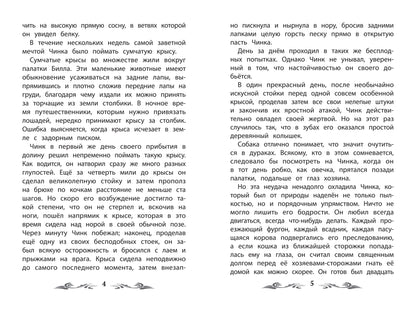 Чинк: рассказы о животных