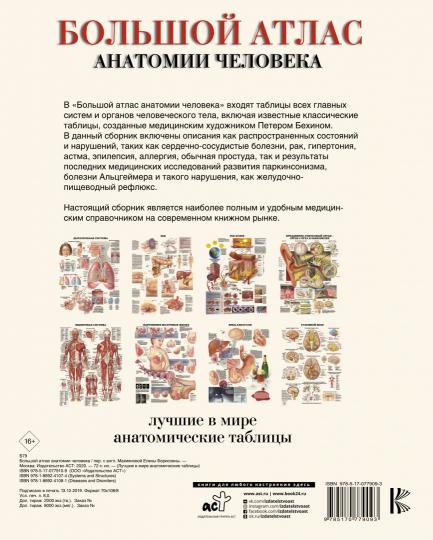 Большой атлас анатомии человека