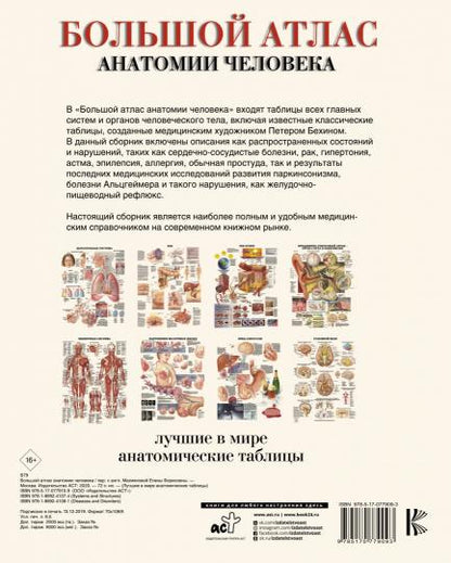 Большой атлас анатомии человека