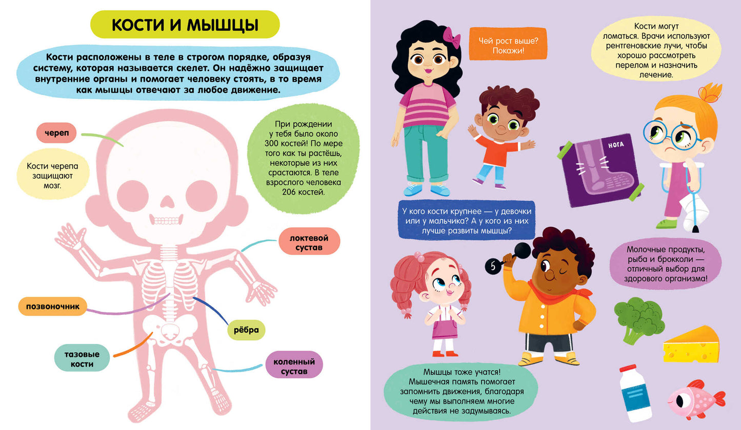 Удивительные энциклопедии. Тело человека (мягкая обл.)