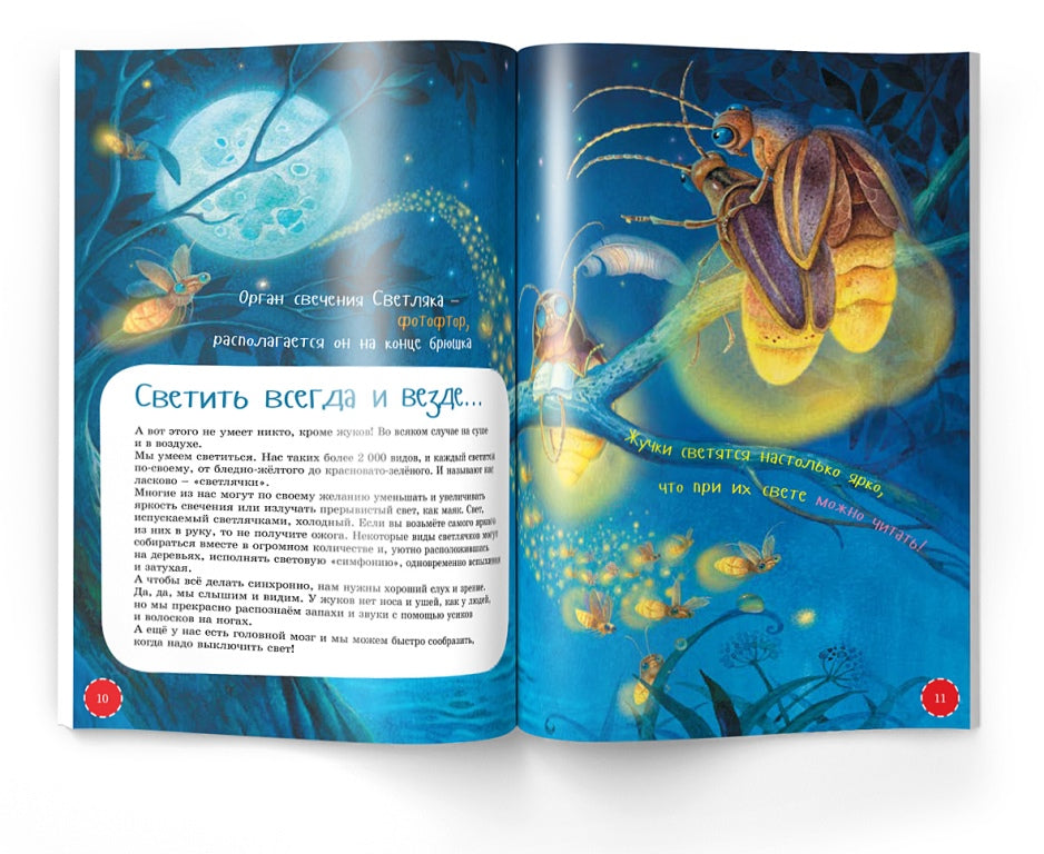 "Я Жук" книга (с иллюстрациями НЕОЗВУЧЕННАЯ) автор А.А.Бахметьев