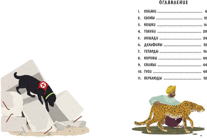 Верные помощники (ожидается поступление)