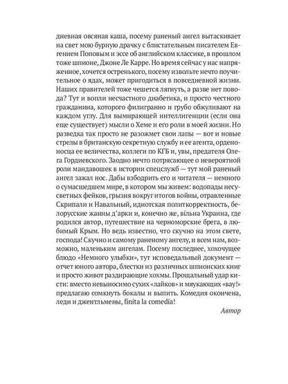 Раненый ангел