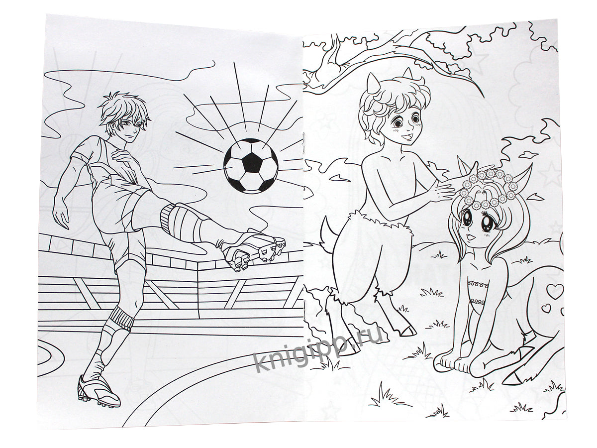 АНИМЕ-РАСКРАСКА. ГЕРОИ МАНГИ