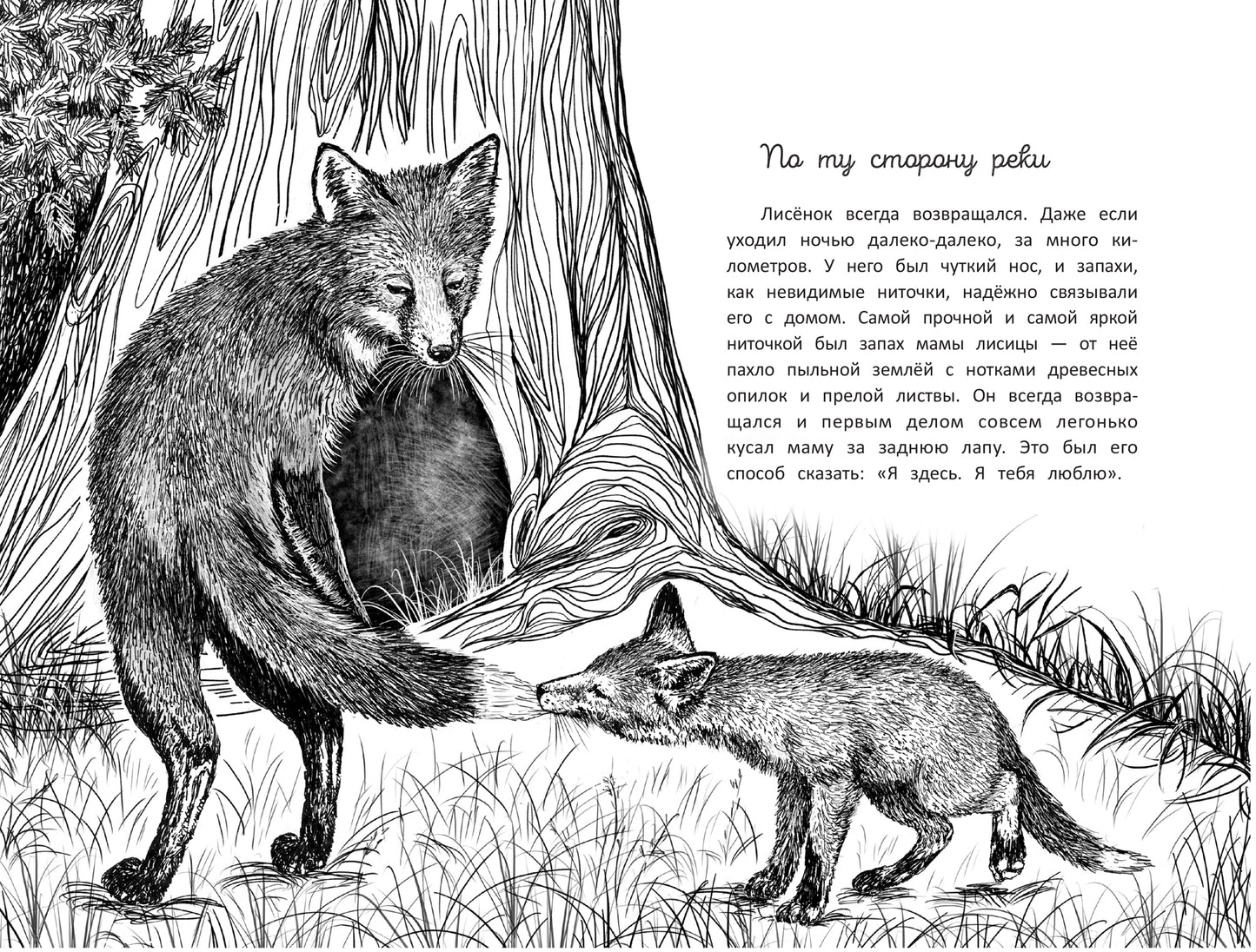 Бегущие по кромке леса