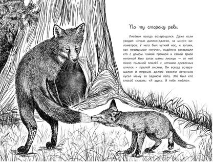 Бегущие по кромке леса