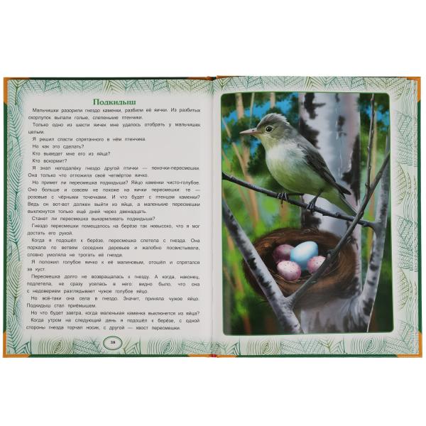 Сказки леса. В.В. Бианки. Большая книга сказок. 240х320мм, 48 стр. , мел. бумага. Умка в кор.30шт