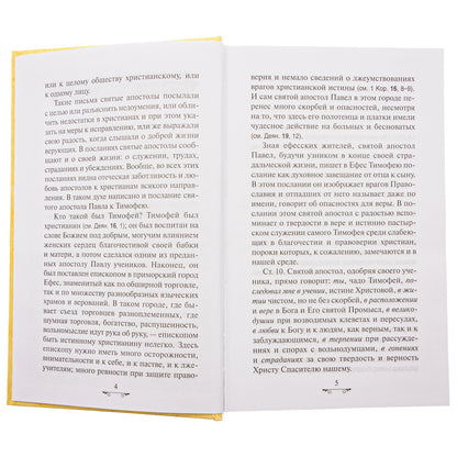 Объяснение апостольских чтений на каждый воскресный день года (Синопсисъ) (Прот. В. Михайловский)