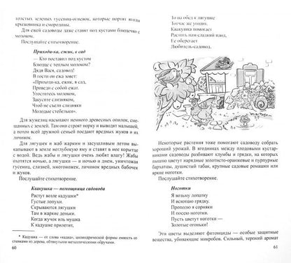 Беседы о фруктах и ягодах с детьми 5—8 лет / Шорыгина Т.А.