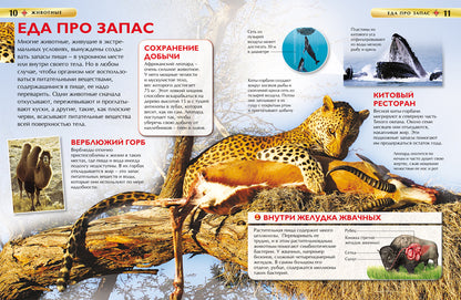 Животные. Детская энциклопедия