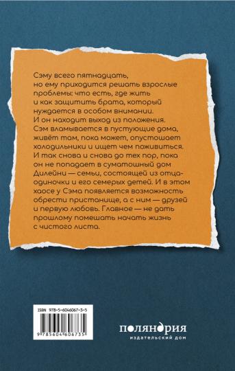 Мальчик, который крадет дома: роман