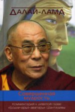 Далай-лама. Совершенная мудрость