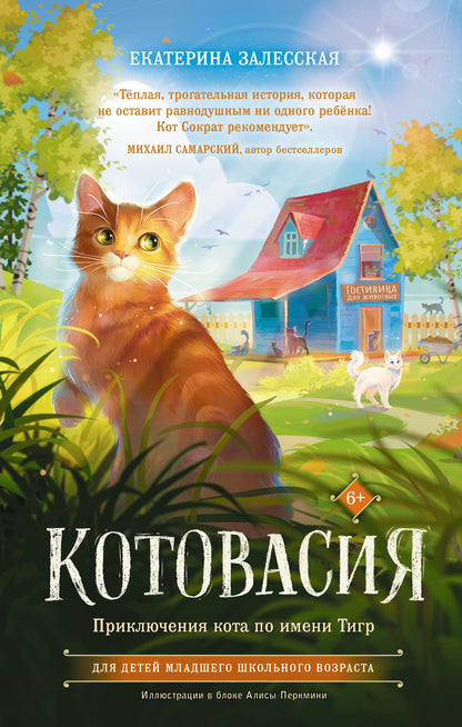 Котовасия. Приключения кота по имени Тигр