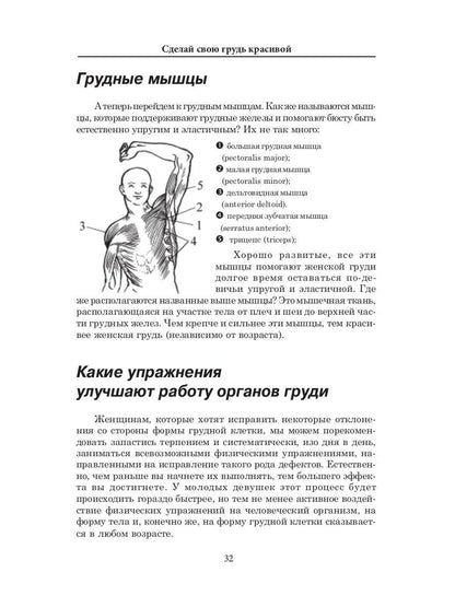 Сделай свою грудь красивой. Гардман Ю.