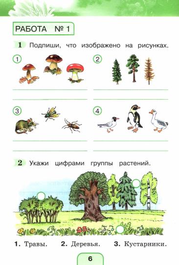 Окружающий мир 2кл [Тестовые задания] ФГОС