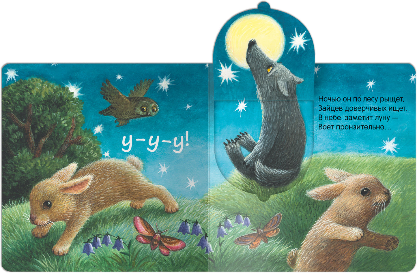 Книжки с окошками. В лесу