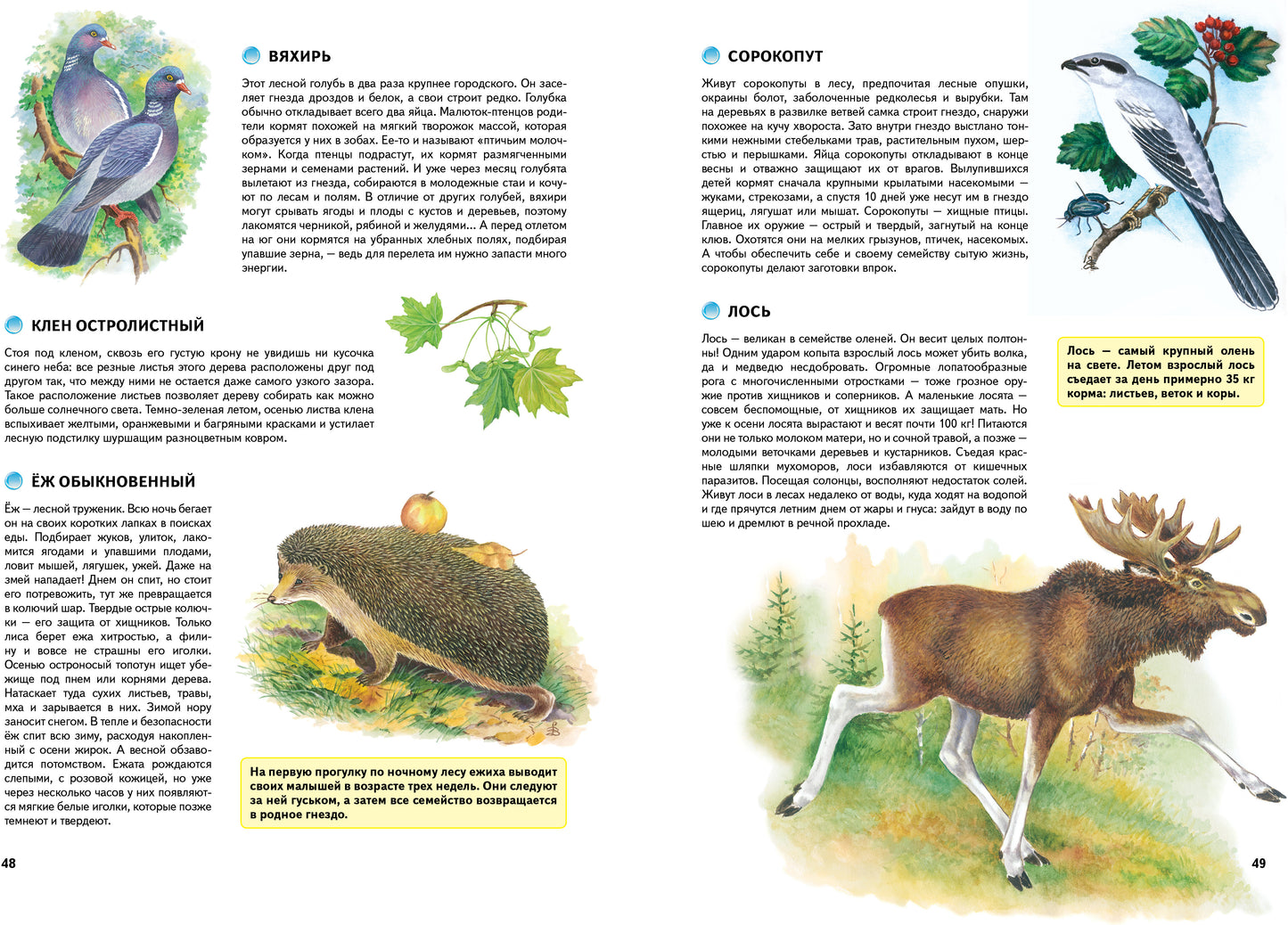 Природа России. Иллюстрированная энциклопедия