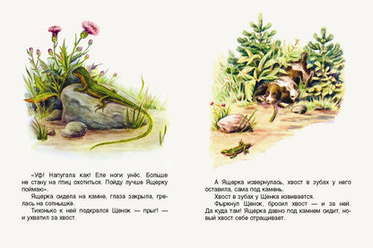 Первая охота. Странички-невелички. илл. Нецкой Е.