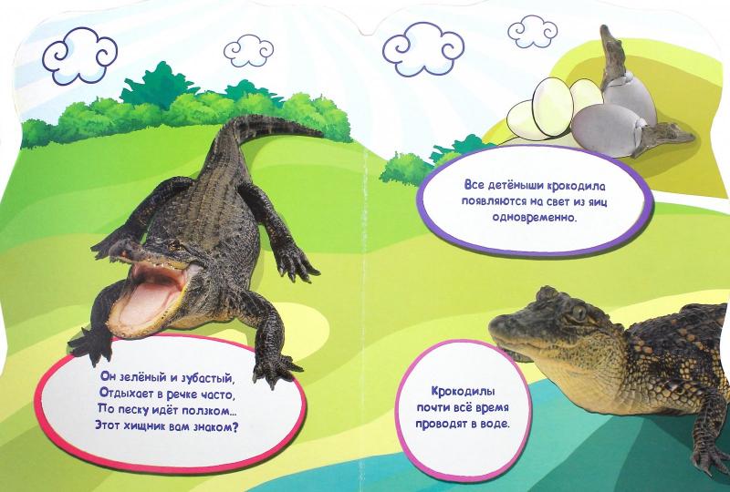 МИР ЖИВОТНЫХ. ХИЩНИКИ