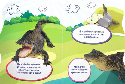 МИР ЖИВОТНЫХ. ХИЩНИКИ