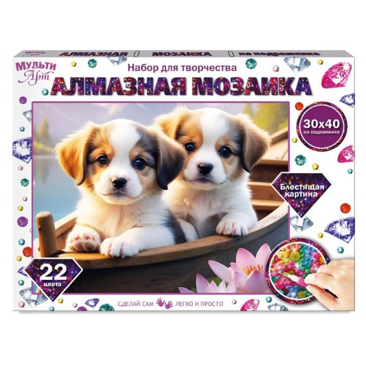 Mosaïque en bois 30*40 avec des chaussures dans un appartement de l'AMS en cor.40